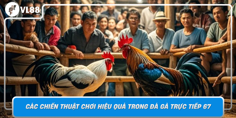 Cac Chien Thuat Choi Hieu Qua Trong Da Ga Truc Tiep 67 Bi Quyet Chien Thang