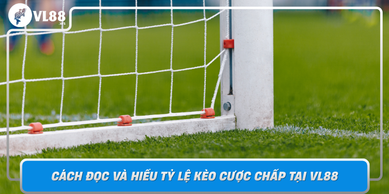 Cach Doc Va Hieu Ty Le Keo Cuoc Chap Tai Vl88