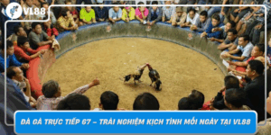 Da Ga Truc Tiep 67 Trai Nghiem Kich Tinh Moi Ngay Tai Vl88