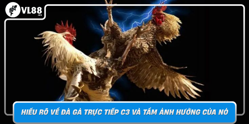 Hieu Ro Ve Da Ga Truc Tiep C3 Va Tam Anh Huong Cua No1