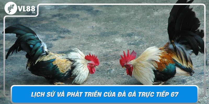 Lich Su Va Phat Trien Cua Da Ga Truc Tiep 67 San Choi Kich Tinh Va Cong Bang