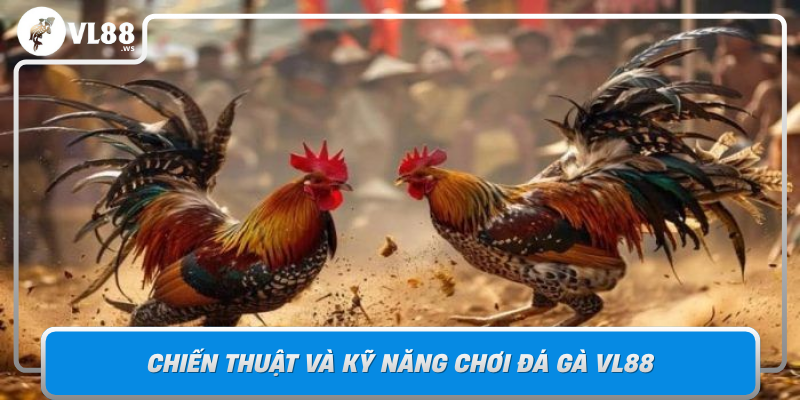 Đá Gà VL88 - Bí Quyết Nâng Cao Kỹ Năng Và Chiến Thuật Đá Gà 2 Chien Thuat Va Ky Nang Choi Da Ga Vl88